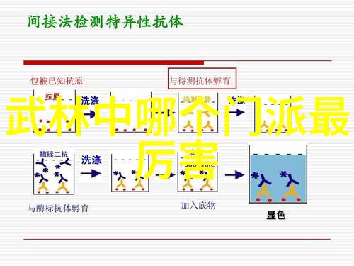 江湖武林全典探秘金庸小说中的绝世武功