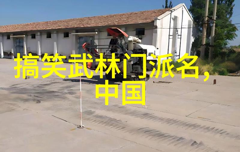 如何快速学会轻功洪洞通背拳七三十六跌摔技法