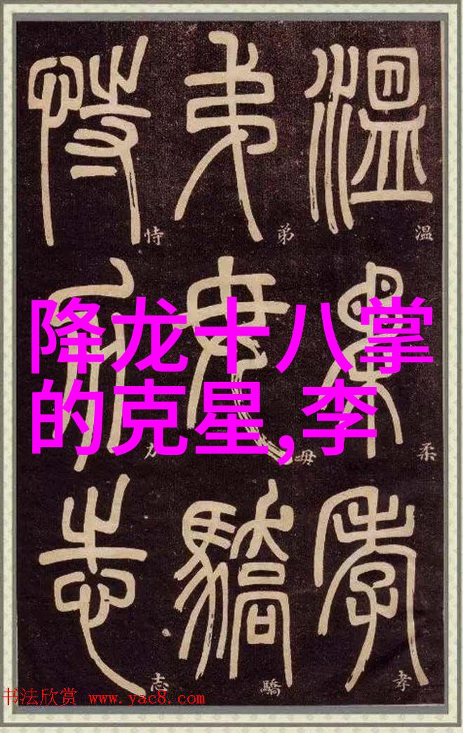 白国栋先生谈武功秘籍大全招式拳法图片戳脚翻子技巧解析