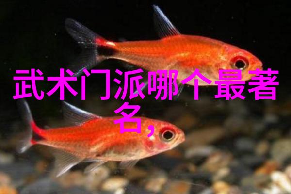 追溯历史悟道生机32式太极拳的源流与应用