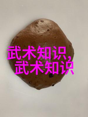 形意拳流派对比哪个更厉害形意拳的历史与技巧比较