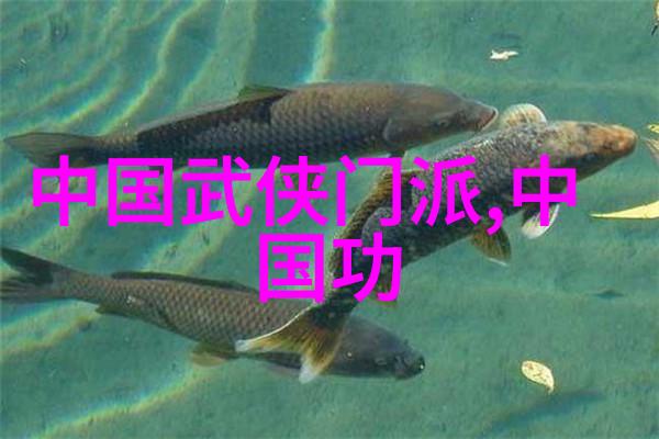 在这片充满玄幻小说宗门势力名字的大地上任意浑圆太极拳又是怎样一门拳种呢