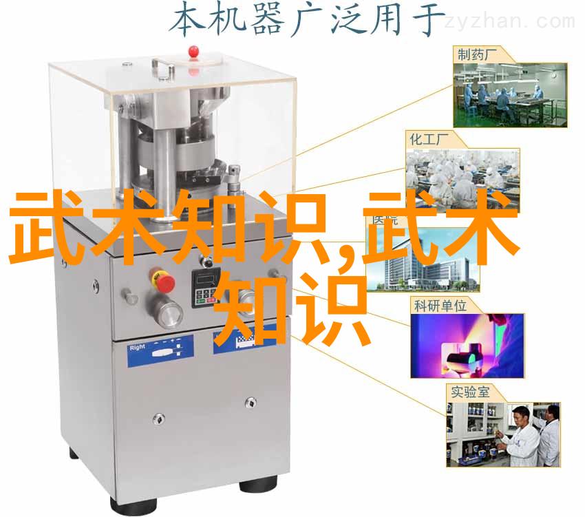 拳影初启武术套路之旅