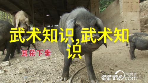 对抗霸王掌的防御策略形意拳师傅该如何应对