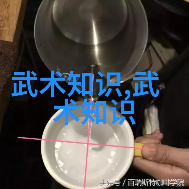 李小龙的功夫教学视频我是怎么学会打架的李小龙教我的那些事