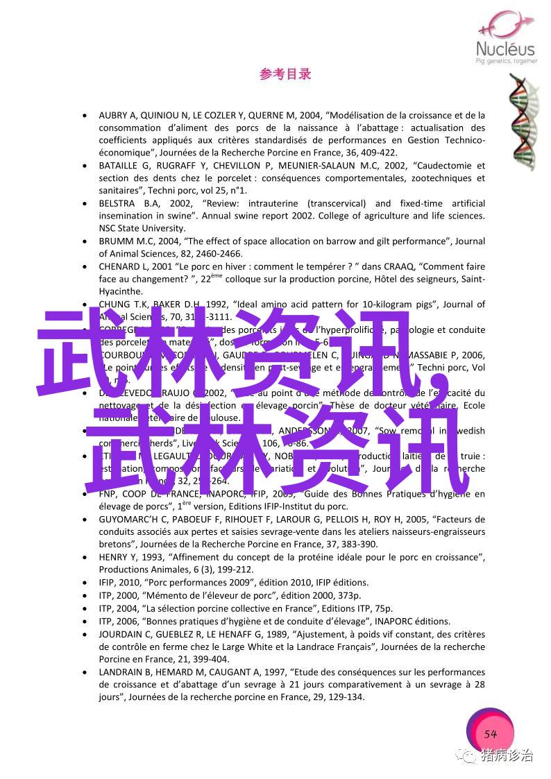 街头搏击拳艺的选择与实战技巧