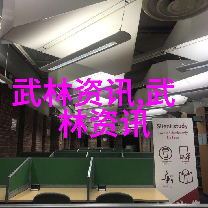 武道秘籍修炼者之阶梯