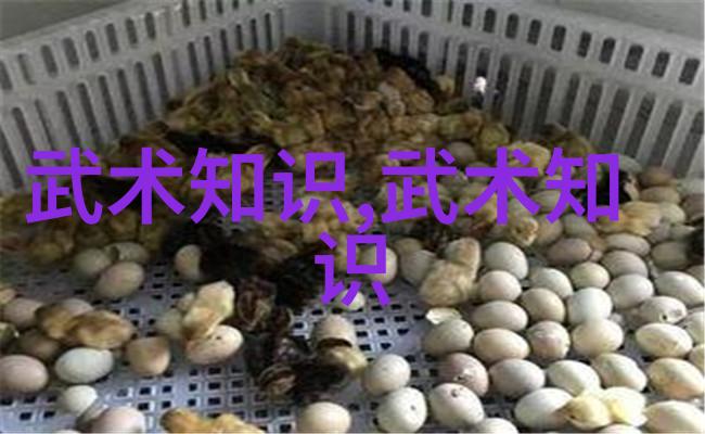 吴斌楼传授精华十三式太极拳分解动作与七论习功秘诀