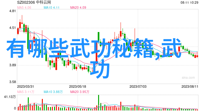 武术之冠揭秘中国武术十大拳法的精髓与排名标准