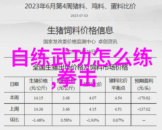 拳法十六招式图解揭秘武术精髓的秘密