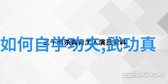 武功秘籍大全汇总-炼丹术士的武学宝典揭秘千年修炼之道