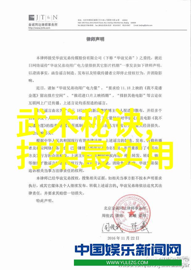 白猿通背拳之抹袖如同武术的12个基本动作中的舞者轻巧优雅却又蕴含深厚力量