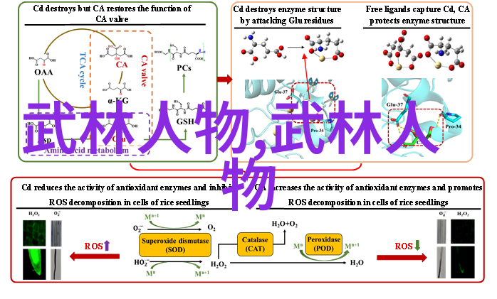 武道至尊天下无敌之绝技