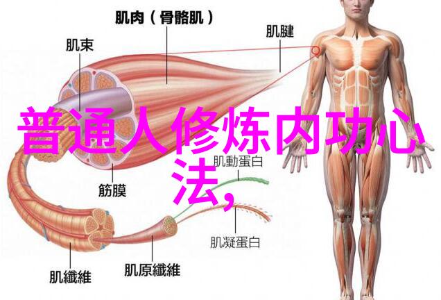 展开屠龙记中每个门派的背景会发现他们都有着独特的文化这里蕴含了什么深意