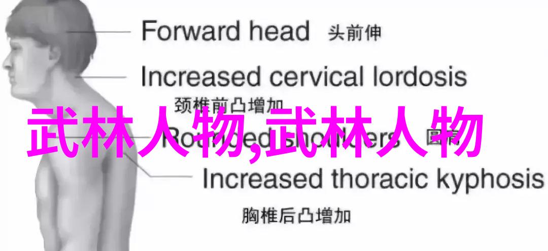 揭秘中国武功练习内外兼修的艺术与科学