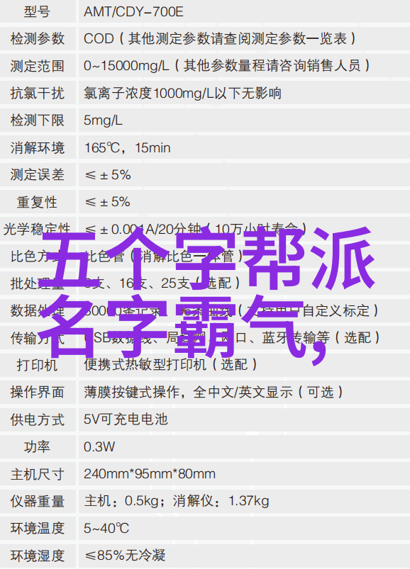 初学武术套路拳法基础步伐与站姿