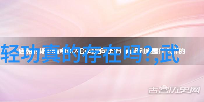 四十式太极拳视频教学带口令古典武术学习工具