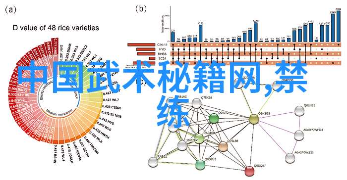 邱慧芳教授的24式太极拳全套教学经典武术训练