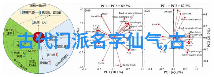 李小龙功夫教程如何通过影视作品学习其武学理念