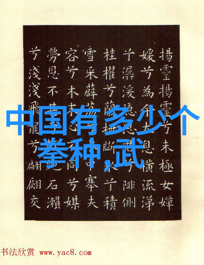 真正的武功秘籍里面的内容又是怎样的鲜为人知的洪莲螳螂拳