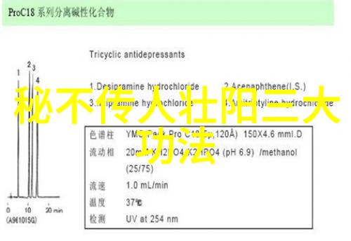 古风仙气帮派探索好听名称背后的学术奥秘