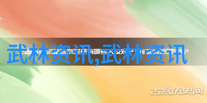 中国传统武术拳法中的武当赵堡太极拳精华二十式如同天地间的和谐之韵李峰教授其技艺让人仿佛能感受到古老山