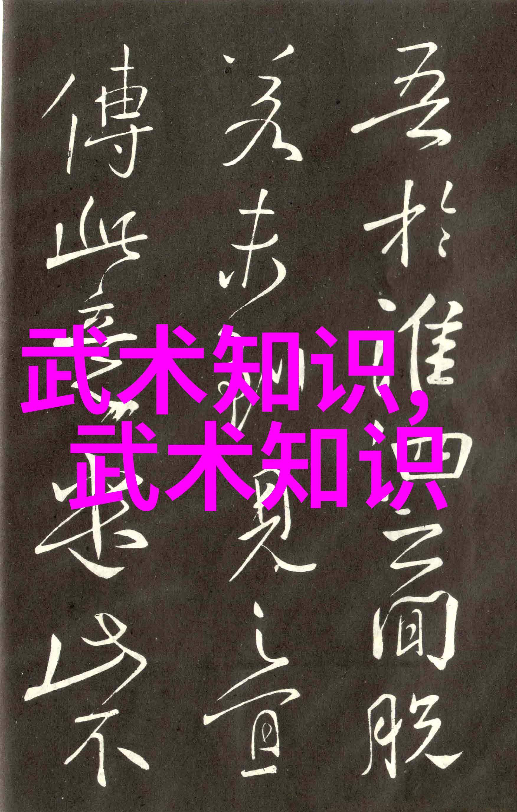 中国武术中的拳法艺术揭秘中华武林的精髓