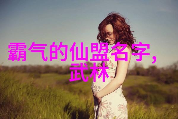 李小龙背后的秘密揭开武术与影坛双重身份的神秘面纱