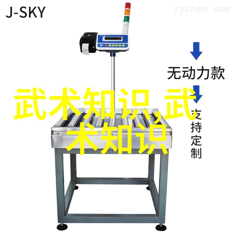 中国武术-探秘中国武术拳法之多样性揭开千年传统的神秘面纱