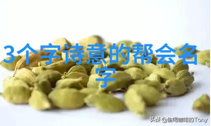 探秘中国功夫揭秘其丰富的拳法艺术