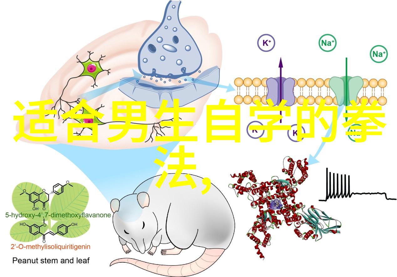 练轻功最快的方法我来教你一招变身侠客