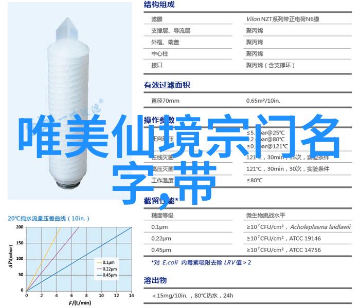 太极拳桩功法韦群杰的武术之舵