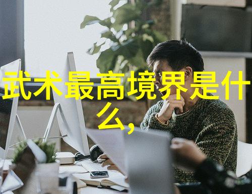 中国武功的秘密内力与招式的完美融合