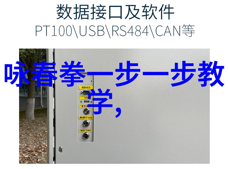 太极拳24式揭秘古老艺术的隐秘动力