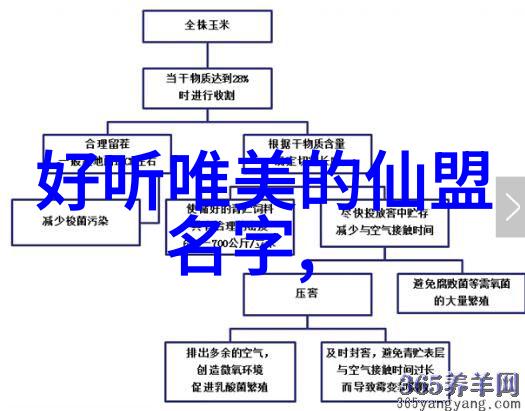 古代神功绝技-天罡秘术揭秘古代武者超凡炼体法