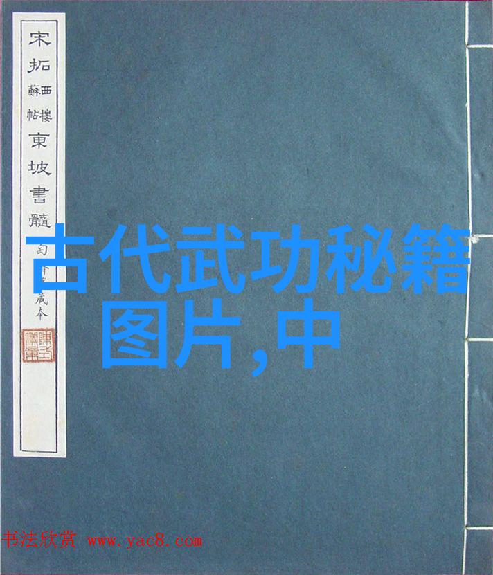 太极拳24式每一式图解视频-探索古老艺术的精髓详解每一个动作的秘密