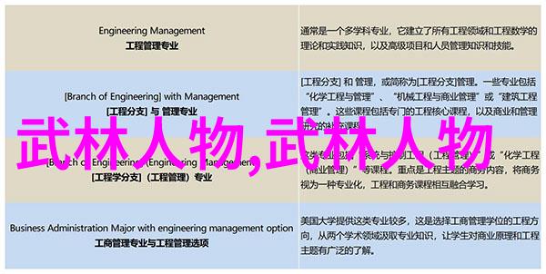 拳法秘籍之谜拳影舞动的武学图谱