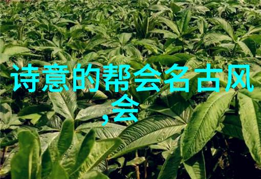 古风幽梦帮尹派八卦掌的奥秘又被谁揭晓了