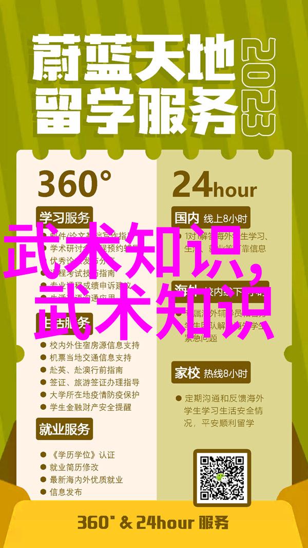 走向世界弘扬中华文化国际化视角下的最大内家拳系介绍及其应用场景分析