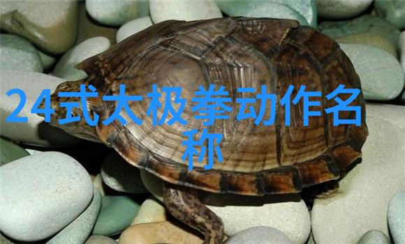 唐家三少守护神生肖秘密十二生肖的神秘守护者