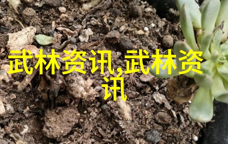 两个男孩子开车小黄说-公路上的无声对话两位少年驾驶中的默契