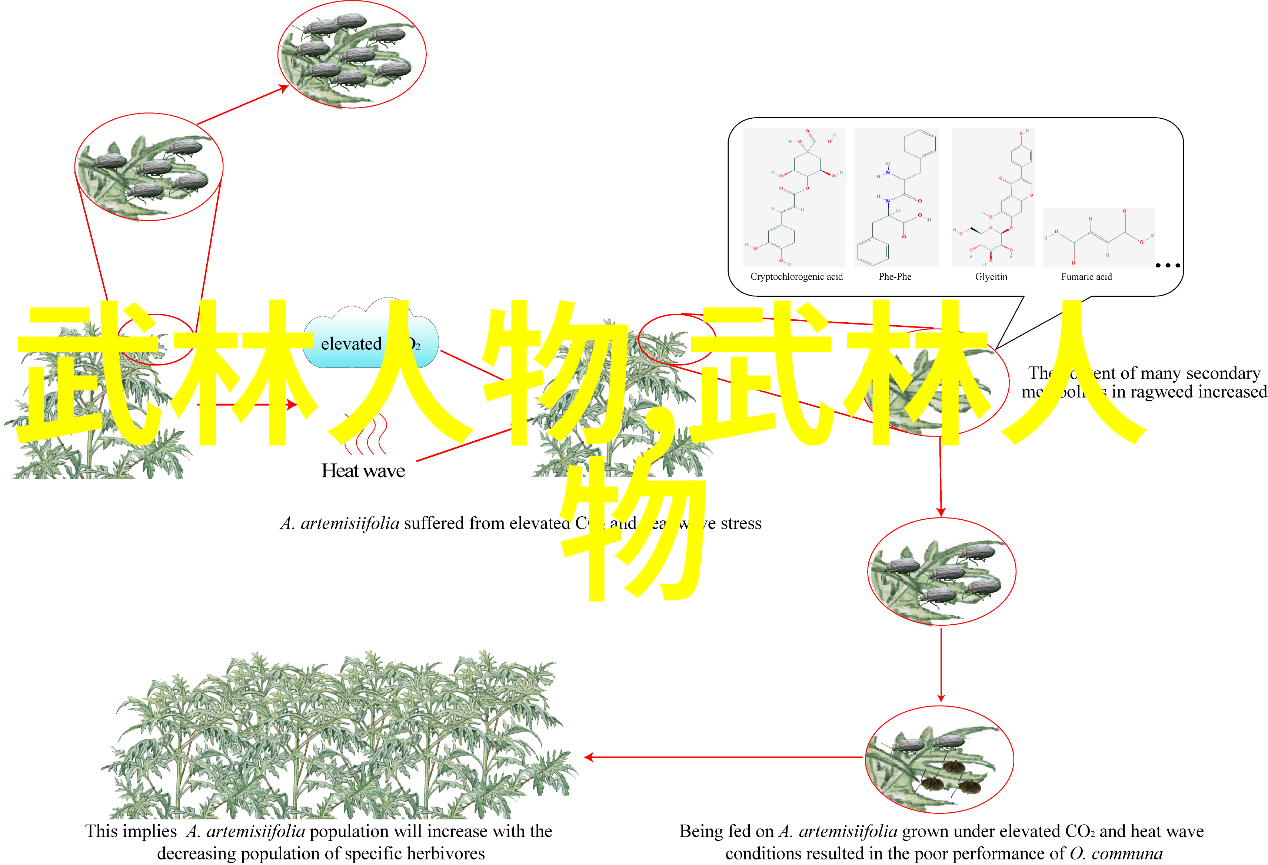 武林秘籍全集从龙虎到斗破咱们都有图