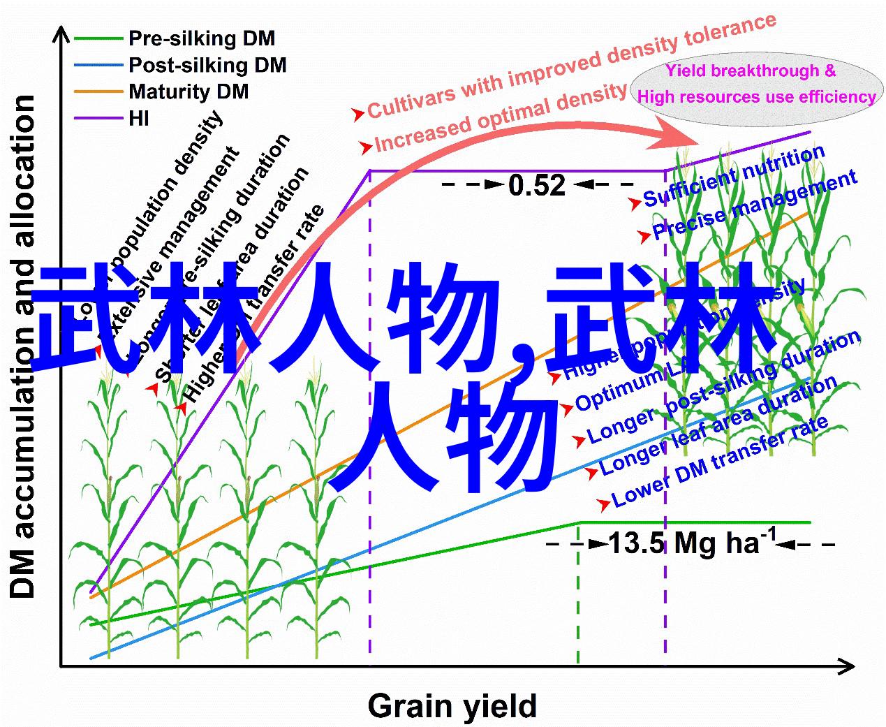 校园车多肉多的1V2校园里的热闹车站与美丽多肉植物的友好竞争