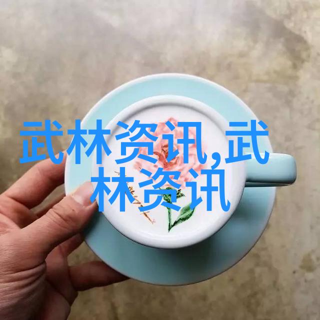 武术资料网中华武术文化的数字典范