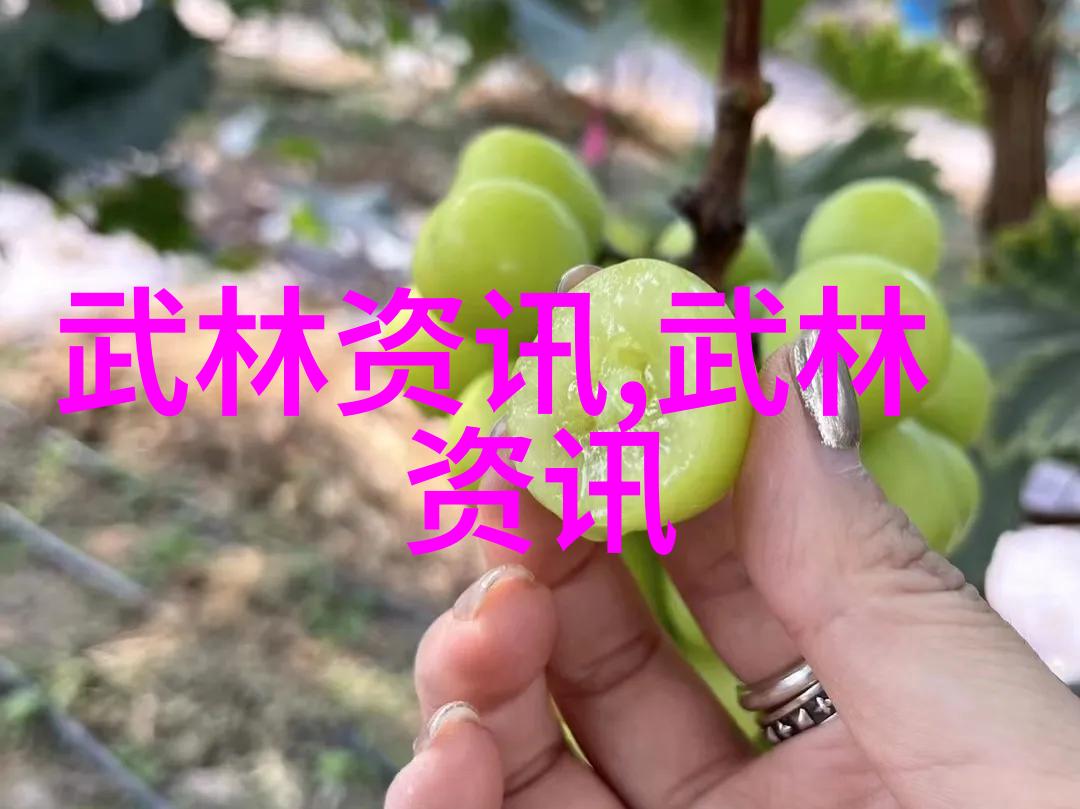 寻觅幽默风趣的帮会称号打造一方兴衰的传奇故事