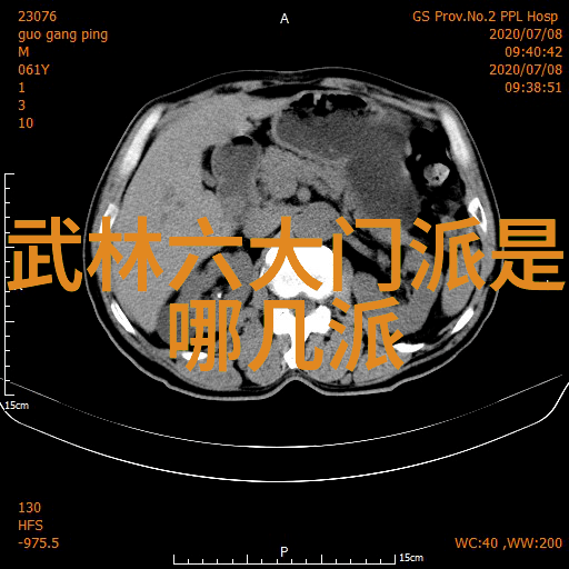 太极拳内劲之旅揭秘二十四式简化图解的奇妙世界