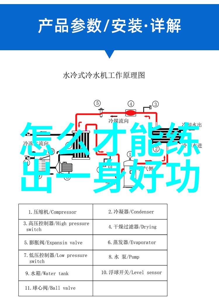 探索自学八极拳的可能性成功之路是否可行