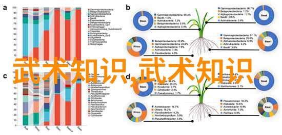 古风帮派之谜仙气盈盈的秘密名字藏于何处