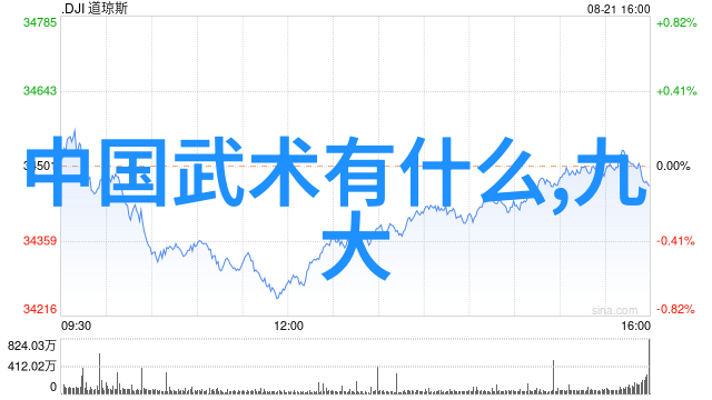 掌击秘籍解锁拳法精髓