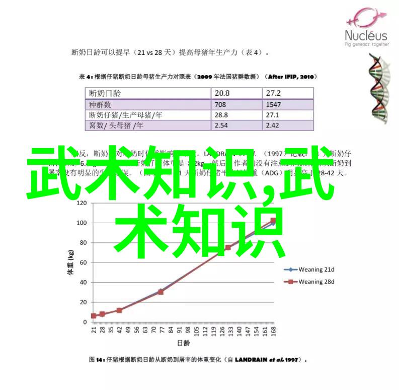 劲爆八三年武术风云录